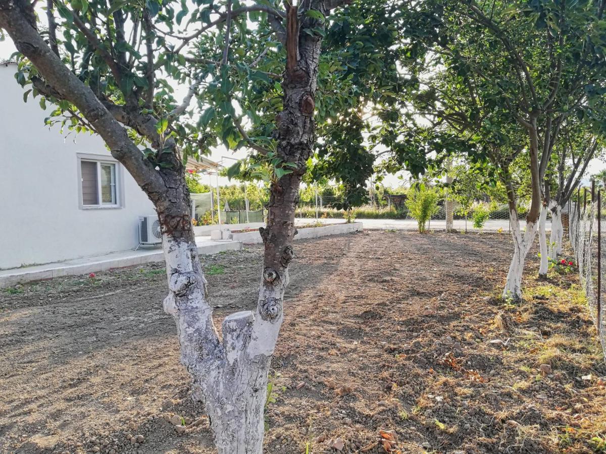 Alibaba Villa Near Airport And Beach Dalaman Exterior photo