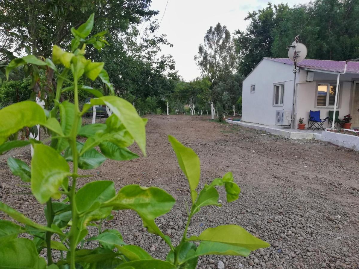 Alibaba Villa Near Airport And Beach Dalaman Exterior photo